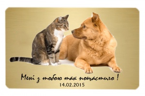 Зображення на металі