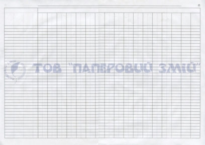 Пустографка горизонтальная, А3, 100 листов
