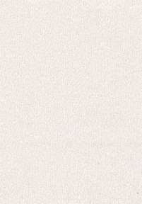 Дизайнерский картон ARTISAN zeolite white, белый перламутровый, 300 гр/м2  (AD-ZLT-300)