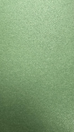 Арт.310120 Дизайнерский картон ARTISAN Spica chrismas green, зеленый перламутровый, 120 гр/м2