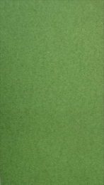 Дизайнерская бумага зеленая матовая, ARTISAN F feeling, 120 гр/м2 Арт. 505120